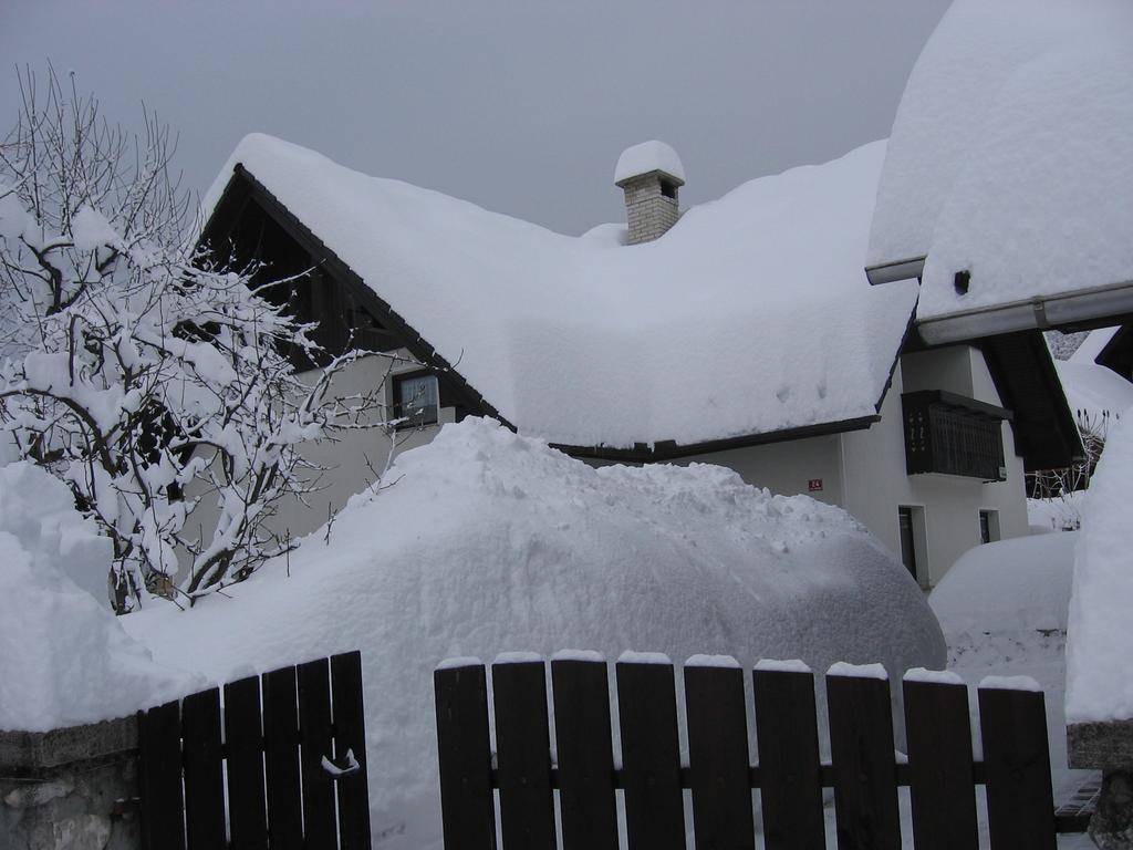 Nasa Hisa Apartman Bohinji-tó Szoba fotó