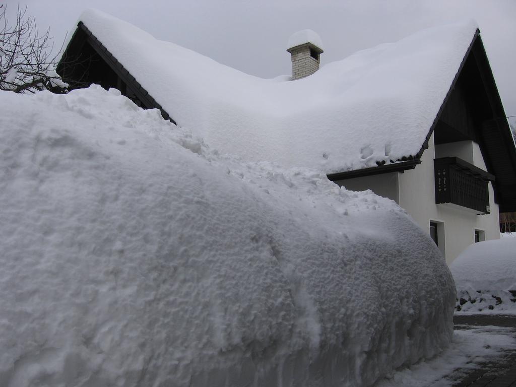 Nasa Hisa Apartman Bohinji-tó Szoba fotó